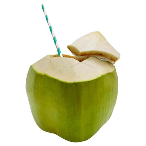 Indian Origin Green Tender Coconut With High Nutritious Values