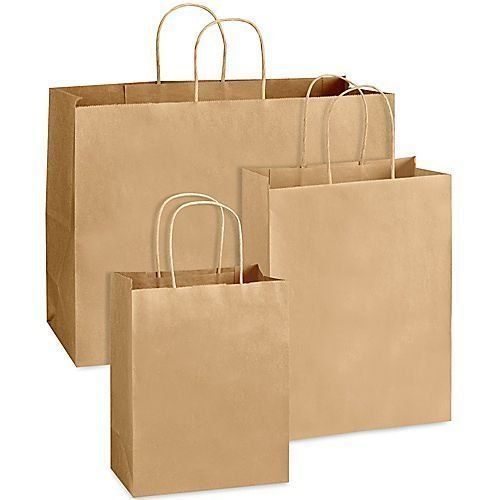 Disposable Light Weight, Brown Plain Paper Bag With 1 Kg Weight Bearing Capacity