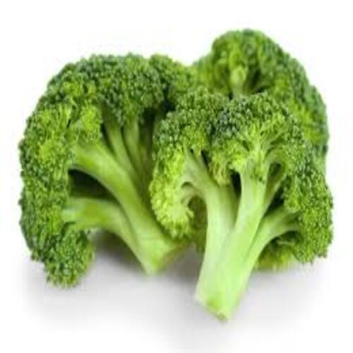 Rich Natural Taste Chemical Free Healthy To Eat Green Organic Fresh Broccoli
