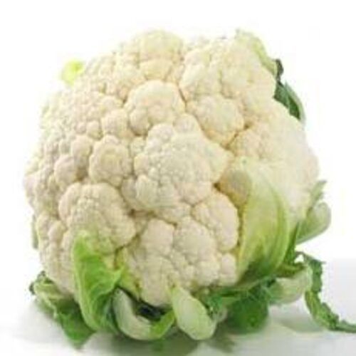 Chemical Free Rich Natural Delicious Taste Healthy White Fresh Cauliflower