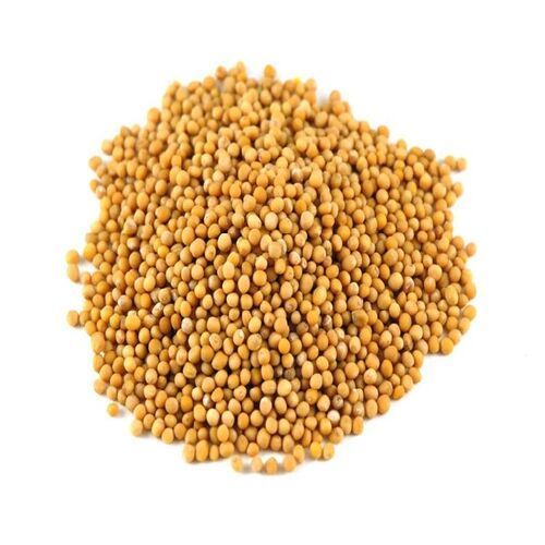 Healthy Natural Rich Fine Taste Chemical Free Yellow Mustard Seeds