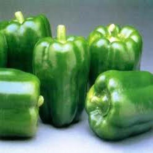 Fresh Capsicum - Raw Green Solid | High Fiber, Chemical Free, Natural Taste, Safe Packaging