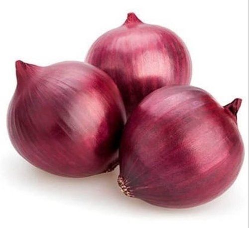 Export Quality Wholesale Price Big Size Organic Dry Fresh Red Onion Vegetables
