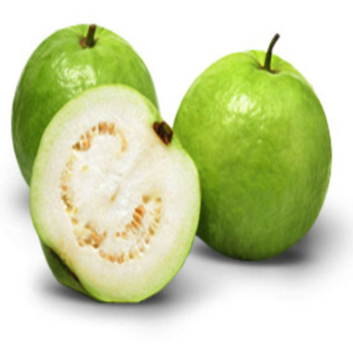 Fine Sweet Delicious Rich Natural Taste Healthy Green Fresh Guava