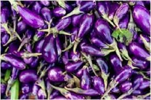 Organic Brinjal Good For Blood With Fibers, Vitamin C And K And High In Anti-Oxidants