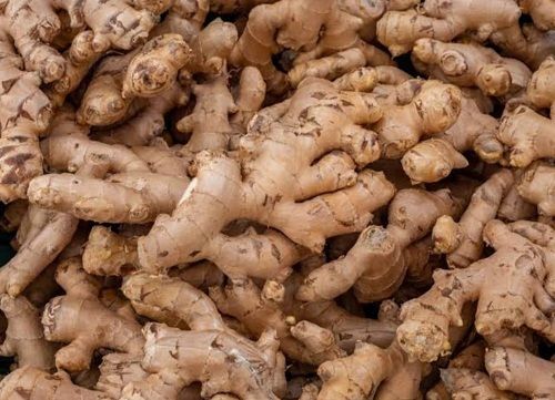 Organic Fresh Ginger Good Source Of Vitamin B6, C, Potassium, Manganese And Dietary Fiber