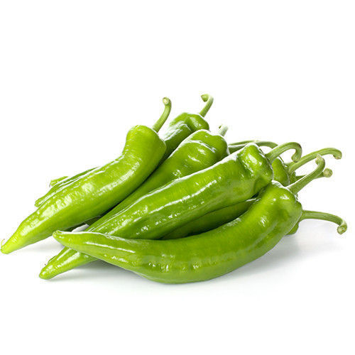 Wholesale Price Export Quality 3-4 Inch Long Preserved Green Chillies For Pickles
