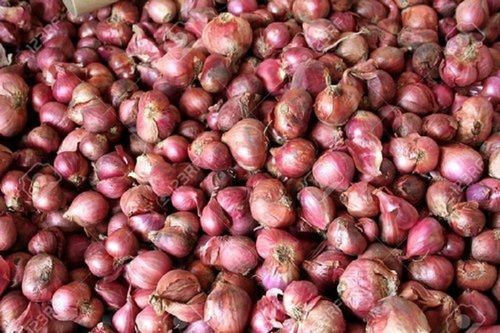 Wholesale Price Export Quality Small Size Organic Dry Fresh Red Onion