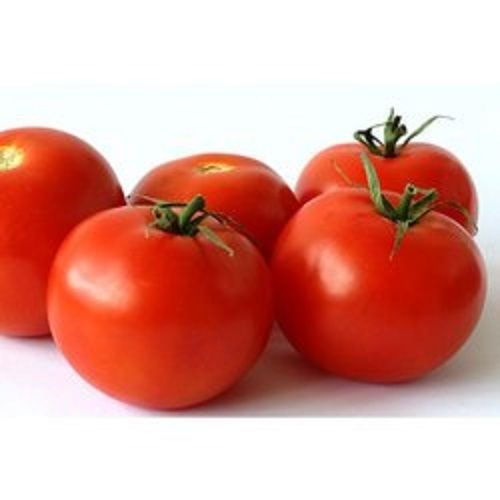 Wholesale Rate Export Quality Red Organic Fresh Tomatoes Vegetables