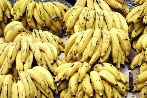 Yellow Organic Farm Fresh Banana Enriched With Calcium And Vitamins