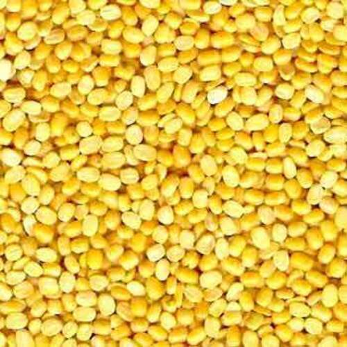 Healthy Natural Taste Easy to Cook Rich Protein Dried Yellow Split Moong Dal