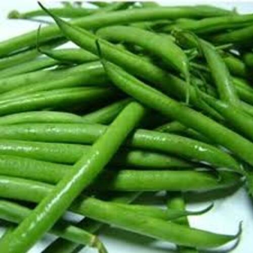 Long High Fiber Chemical Free Rich Natural Taste Healthy Green Fresh French Beans