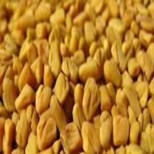 No Artificial Color Chemical Free Natural Rich Taste Dried Yellow Fenugreek Seeds