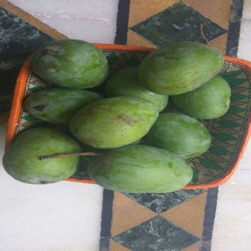 No Artificial Color Sweet Delicious Rich Natural Taste Healthy Green Langda Malda Mangoes