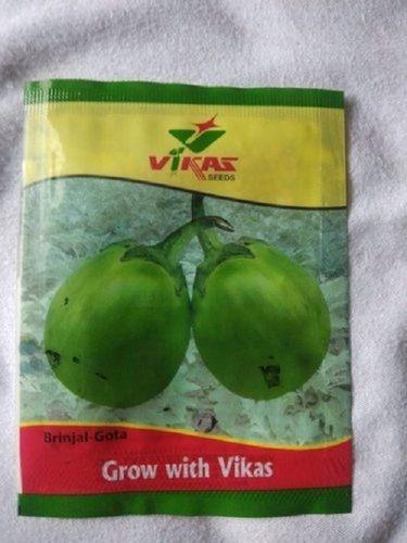Round Brinjal/Desi Green Vegetable Seed, Super Agri Green Brinjal Round Desi 