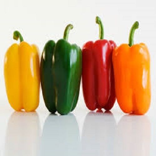 Seasoned A Grade 100% Pure Fresh Nutritive And Healthy Capsicum Natural Capsicums