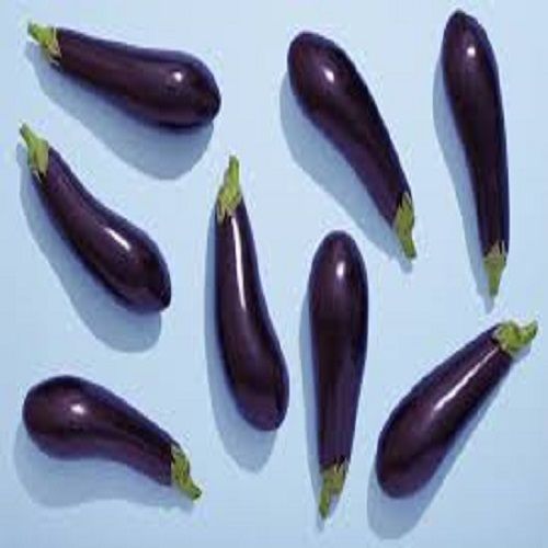 A Grade100% Pure And Organic Nutritious Brinjal With Vitamins A, C, Fiber And Nutritious