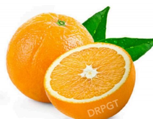 Best Price Export Quality Fresh Organic Orange Fruits For Juice Making