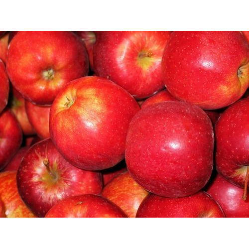 Best Price Export Quality Wax Free Red Color Royal Gala Fresh Apple Fruit