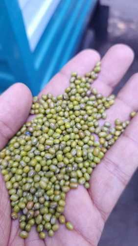 Cleanly Stuffed Yellow Moong Dal, Great Wellspring Of Protein, Dietary Fiber Broken (%): 4%