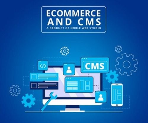 Ecommerce And CMS Software Development Service