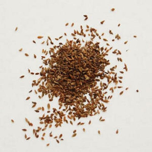 Brown Edible Carrot Seeds(Excellent Source Of Dietary Fiber And Vitamin A)