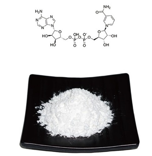 I -Nicotinamide Adenine Dinucleotide (NAD)