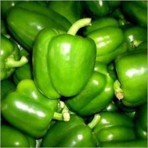 Natural Fine Rich Taste Chemical Free Healthy Fresh Green Capsicum