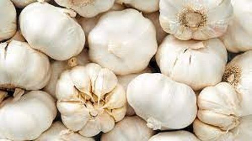 Natural Taste White Organic Fresh Garlic Enriched With Vitamin B6 And Manganese