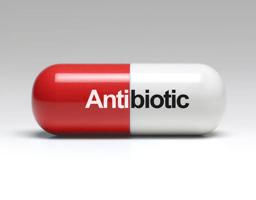 Red And White Colour Antibiotics Capsule