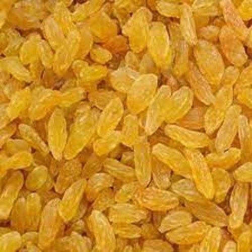 Rich Nutrition Healthy Natural Delicious Sweet Taste Dried Golden Kishmis