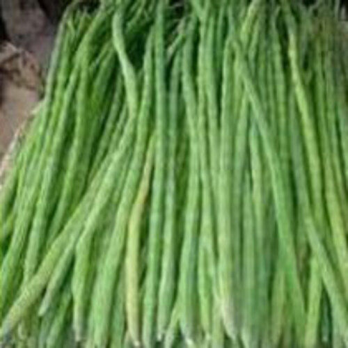 Long High Fiber No Artificial Color Healthy Natural Rich Taste Organic Green Fresh Drumsticks