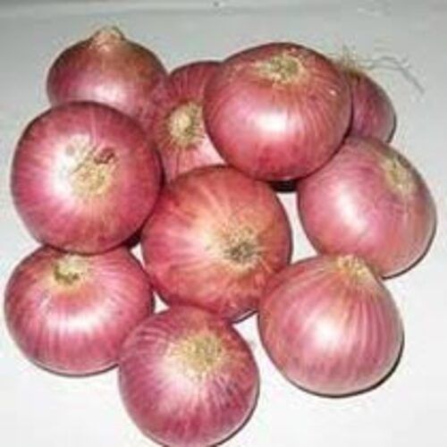 Enhance The Flavor Rich Healthy Natural Taste Fresh Red Onion