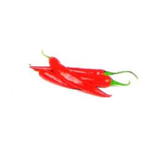 Solid Whole Spice Hot Spicy Natural Taste No Artificial Color Fresh Red Chilli