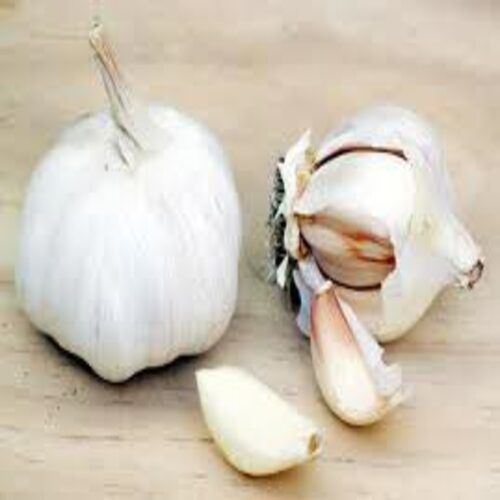 No Artificial Color Chemical Free Natural Rich Taste Healthy White Garlic
