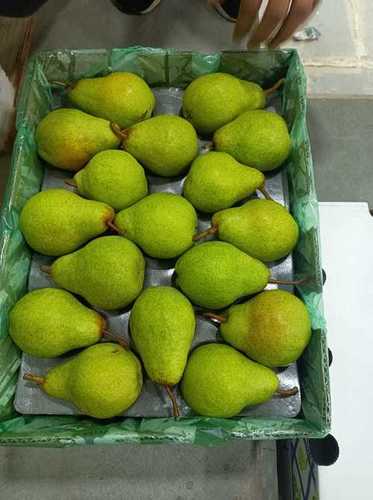 Green Rich In Vitamin C And Potassium Mouthwatering Taste Sweet And Healthy Fresh Pears