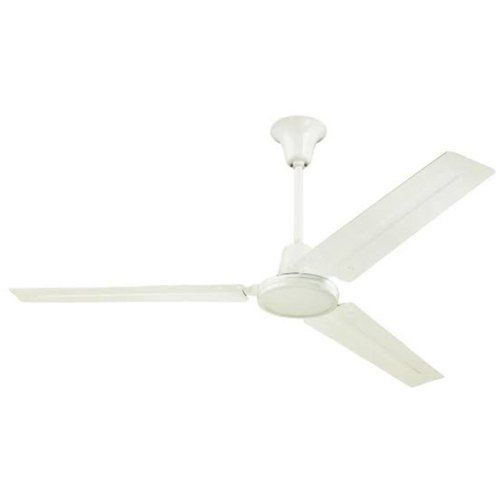 Stylish White Color Electronic Havells Ceiling Fan With Premium Quality Cooling Blade Diameter: 5 Inch (In)