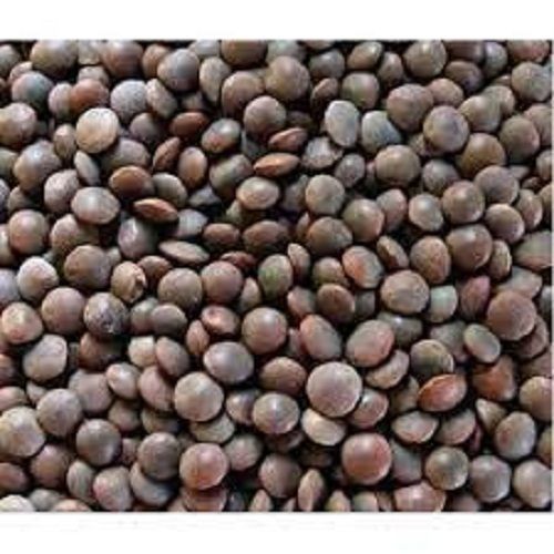 100% Premium Organic Black Masoor Dal Chemical Free & Pesticides Free  Admixture (%): 0.9%