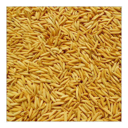 A Grade Indian Origin Dried Natural Paddy Rice With High Nutritious Value