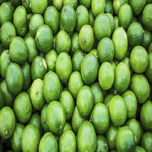 Easy To Digest Sour Natural Taste Healthy Green Fresh Rutaceae Lemon