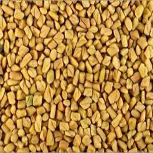 No Artificial Color Chemical Free Natural Rich Taste Dried Yellow Fenugreek Seeds