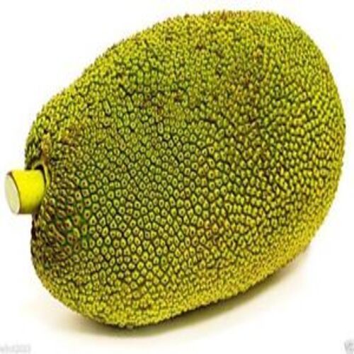 No Artificial Color Rich Healthy Natural Delicious Taste Fresh Green Jackfruit