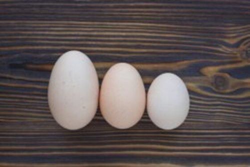  थोक मूल्य चटगांव ताजा सफेद अंडे, रेस्तरां के लिए 50 ग्राम वजन 