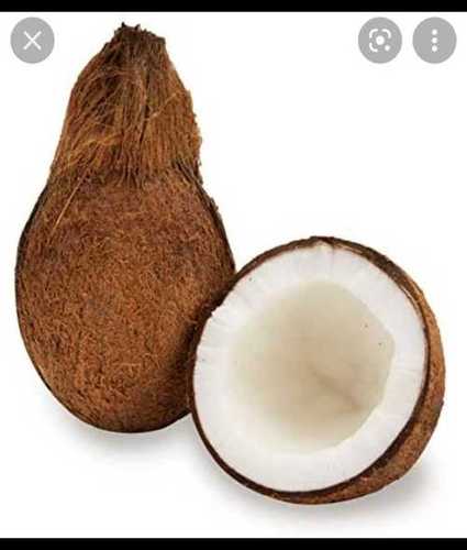 High Nutritional Value Rich In Taste Brown Colour Fresh Coconut, Maturity 85%
