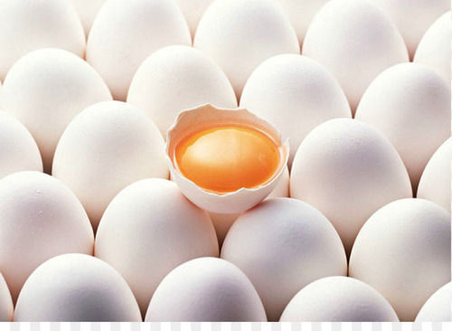 Wholesale Price Healthy Fresh White Chicken Eggs, 50g Weight Rich With Protein