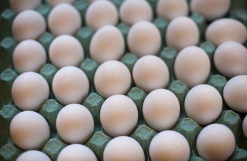  थोक मूल्य स्वस्थ और ताजा सफेद छिलके वाला अंडा, 50 ग्राम वजन प्रोटीन से भरपूर 
