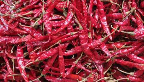 100% Clean Dried High Pungency Red Chilli Chillies With/Without Stem Grade: .