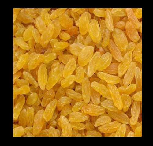 100% Pure Whole Dried Sweet Golden Raisin For Confectionery