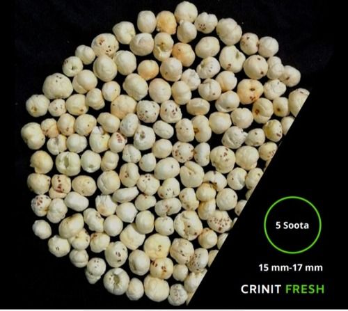 Organic 15-17Mm 5 Soota Fresh White Color Premium Raw Lotus Seeds (Makhana) A Healthy Snack 1 Kg