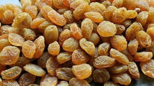 Best Price Organic Premium Quality Natural Dried Golden Small Raisins, 5Kg